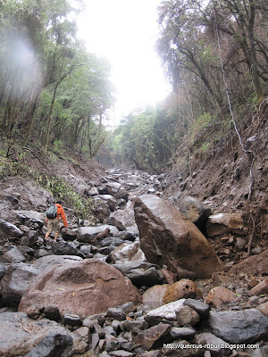 8 - Hermoso paisaje después del incendio y tromba en Cerro Viejo.