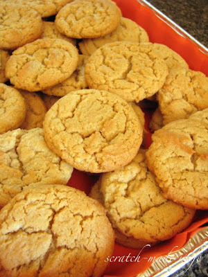 peanut butter cookie recipe