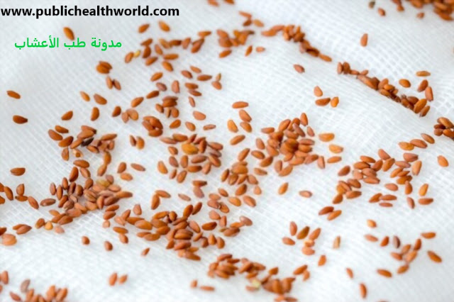 فوائد الثفاء للعظام اروردز