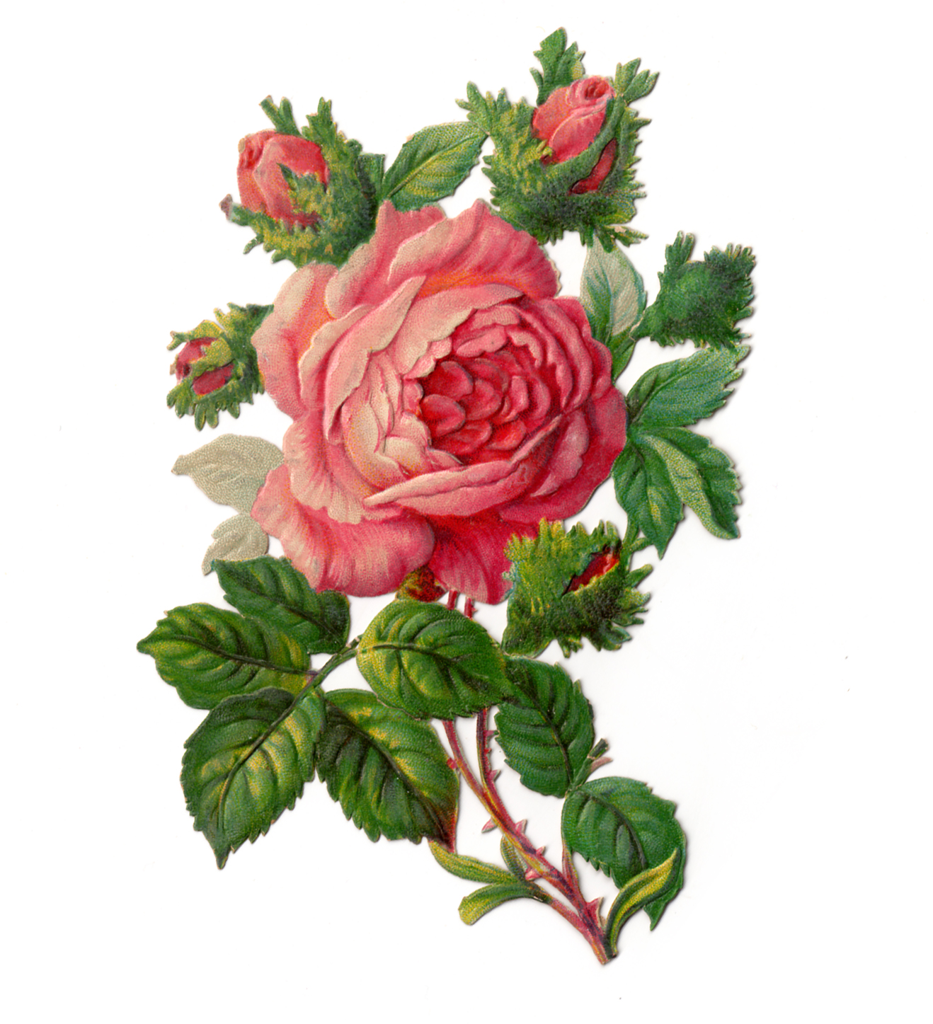 clipart de rose rouge - photo #15