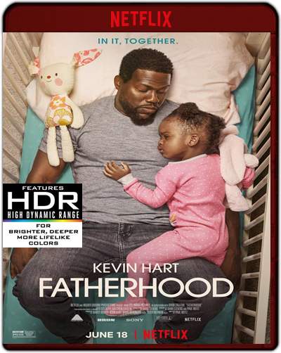 Fatherhood (2021) 1080p NF WEB-DL HEVC HDR Dual Latino-Inglés [Subt. Esp] (Comedia. Drama)