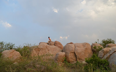 Parthasarthy Rocks JNU