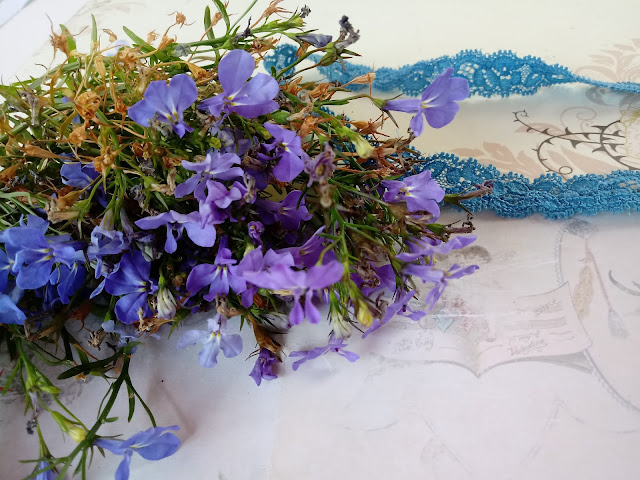 Bodegón de florecitas azules y cinta de puntilla de color azul
