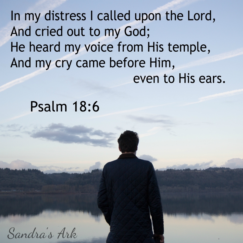 sandra-s-ark-pondering-the-psalms-psalm-18