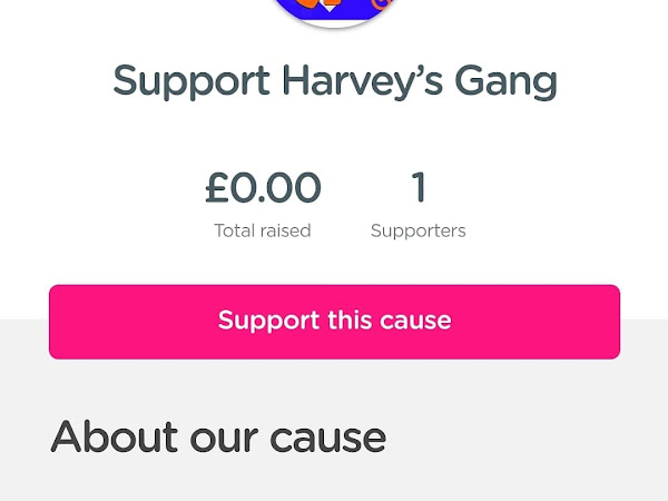 Fundraising for Harvey's Gang! 
