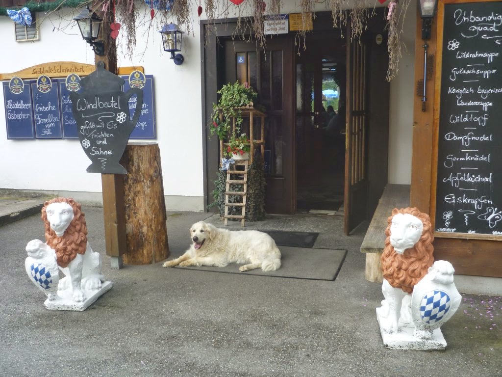 Dorikult Hey, Timmi, lachender WachHund!