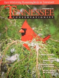 Tennessee's Majestic Sandhill Cranes