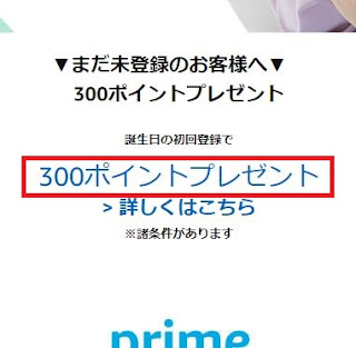 300ポイントプレゼント