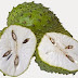 Manfaat durian Belanda
