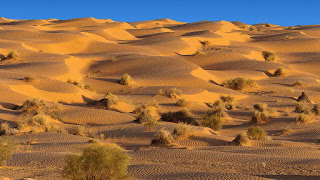 Ksar Ghilane Tunisie 