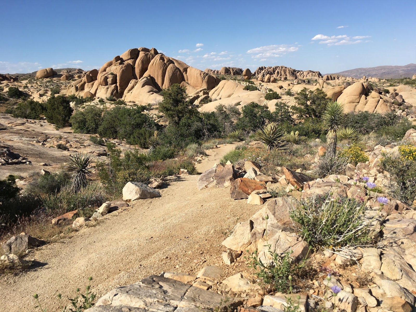 Running Routes Skull Rock Trail, Joshua Tree Running Route