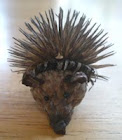 Coneflower Hedgehog Tutorial