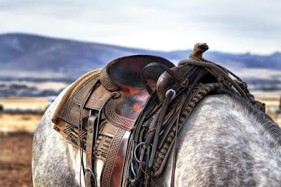 saddle on horse