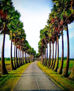 সুন্দর রাস্তার ছবি সুন্দর রাস্তার ছবি