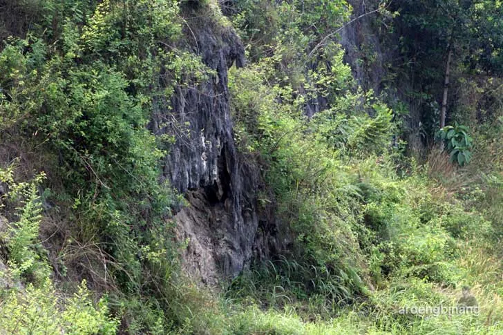 air panas tirta sanita ciseeng bogor