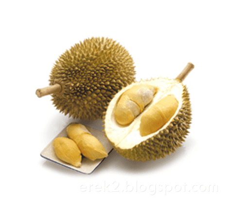 ♘ Mimpi buah durian dalam togel