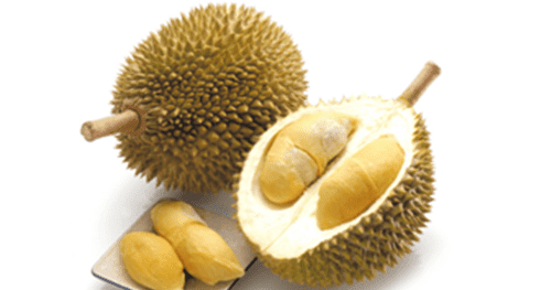 Erek Erek Durian 2D 3D 4D (Arti dan Angka Mimpi Buah Erek Erek Durian 2D 3D 4D (Arti dan Angka Mimpi Buah