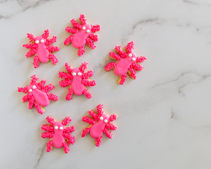 pink spider cute decorated halloween cookies