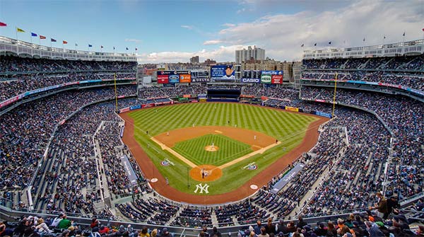 Enjoy the lively atmosphere at Yankee