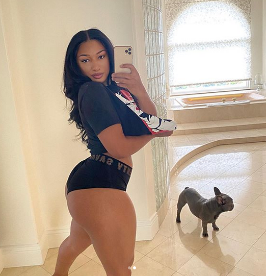 Megan the stallion sexy pics