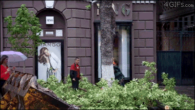 foto%2B4.gif