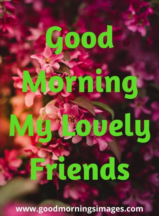 Good Morning Images and quotes for him Good Morning Images and quotes for him