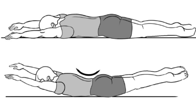 Упражнения на спину лежа на животе. Упражнения на вытяжение мышц спины. Упражнения для спины лежа на животе. Упражнения лежа на спине. Поднятие туловища лежа на животе.