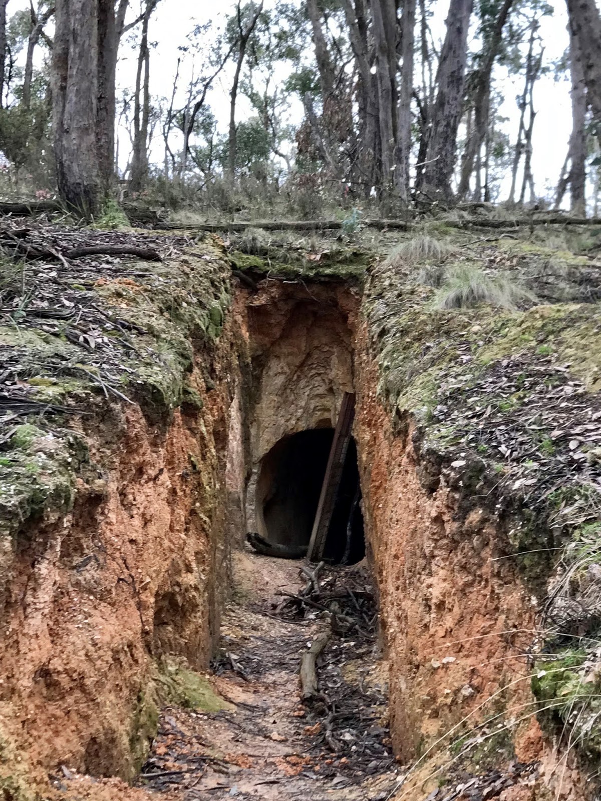 Linton Nuggety Gully Circuit 13.5 Kms