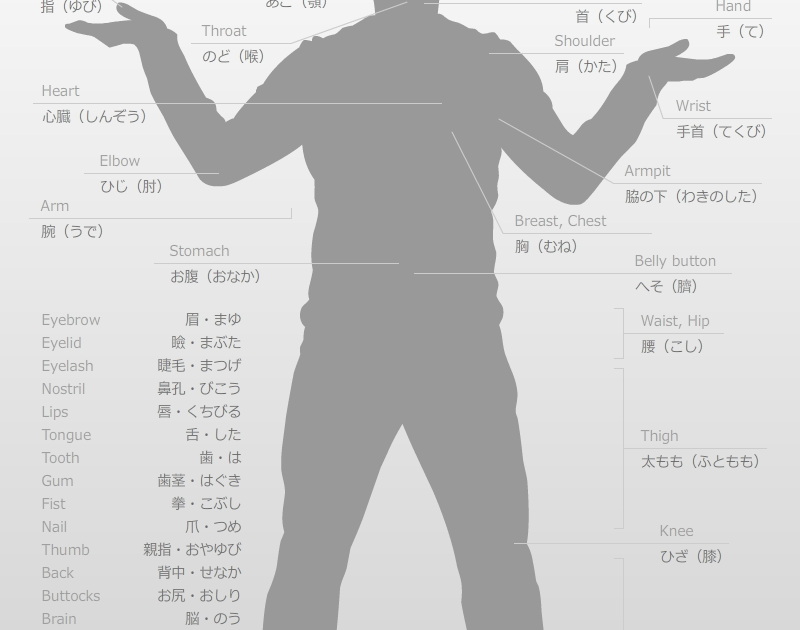 Japanese Body and Color Names Coretan Atsira