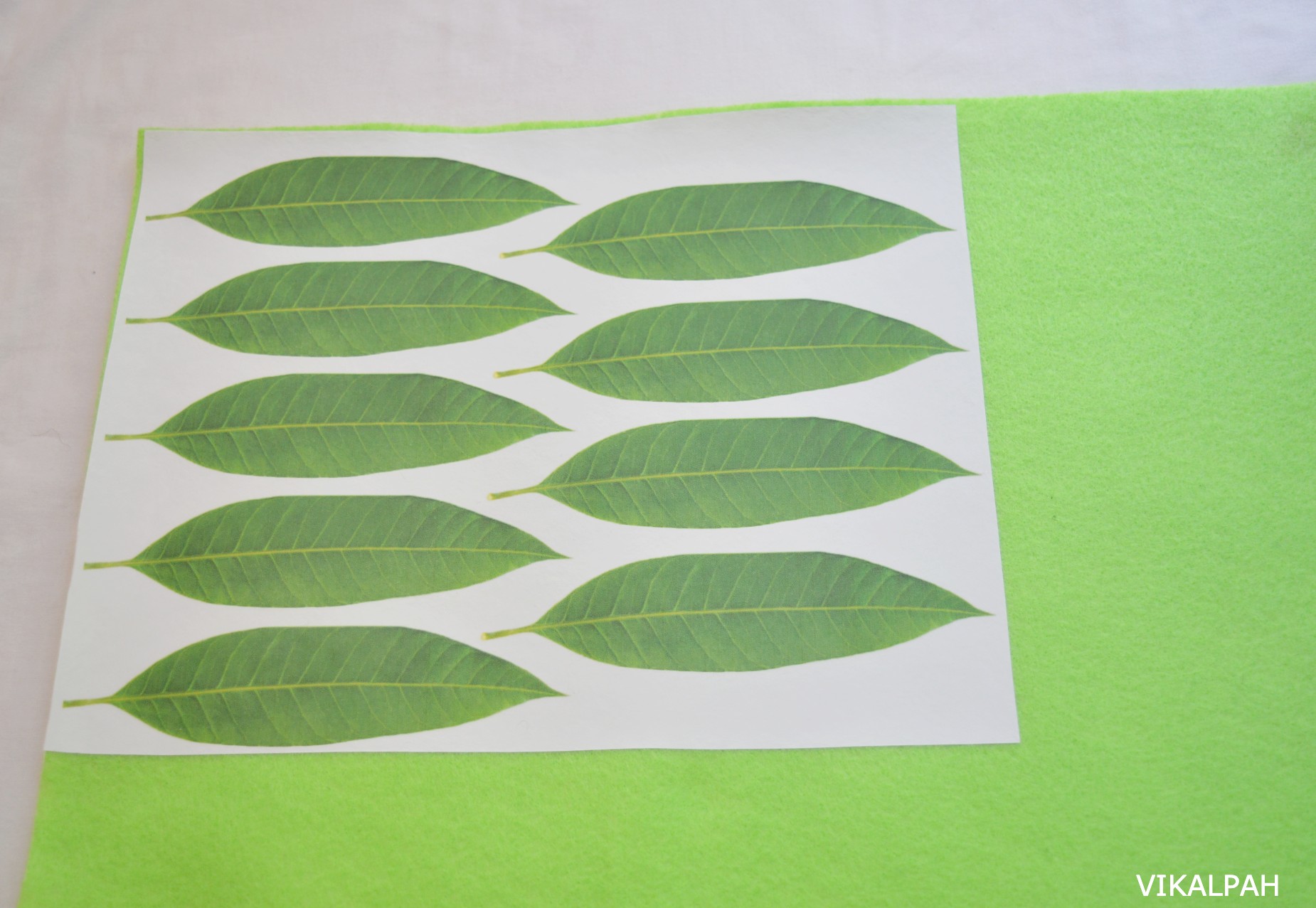 Vikalpah How to make a Mango leaf thoranam DIY Mango leaf toran for