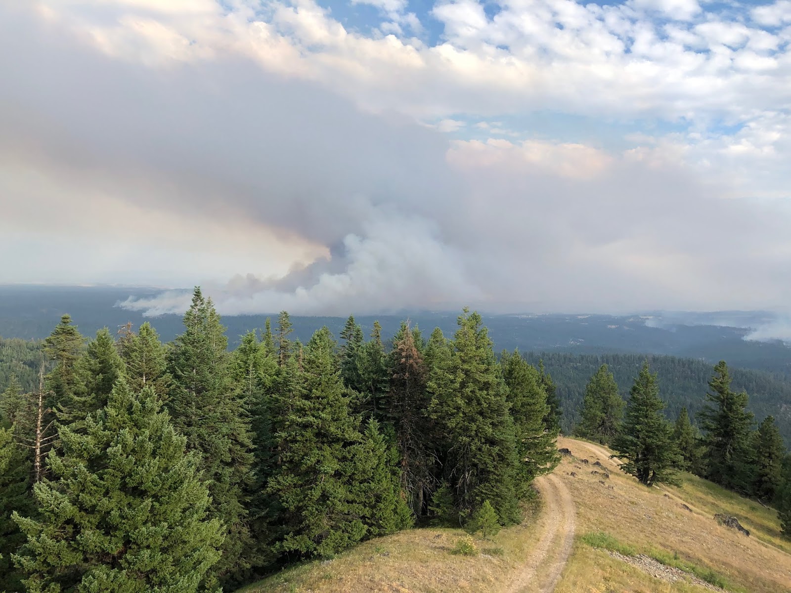 Blue Mountain Fire Information Umatilla National Forest Lightning Fire