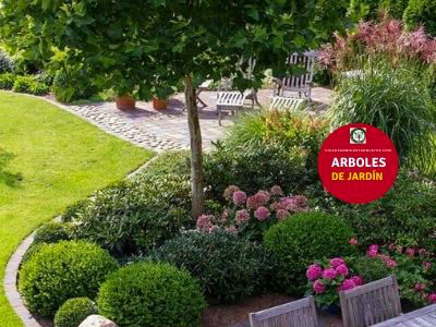 67 Arboles y Arbustos para Jardín
