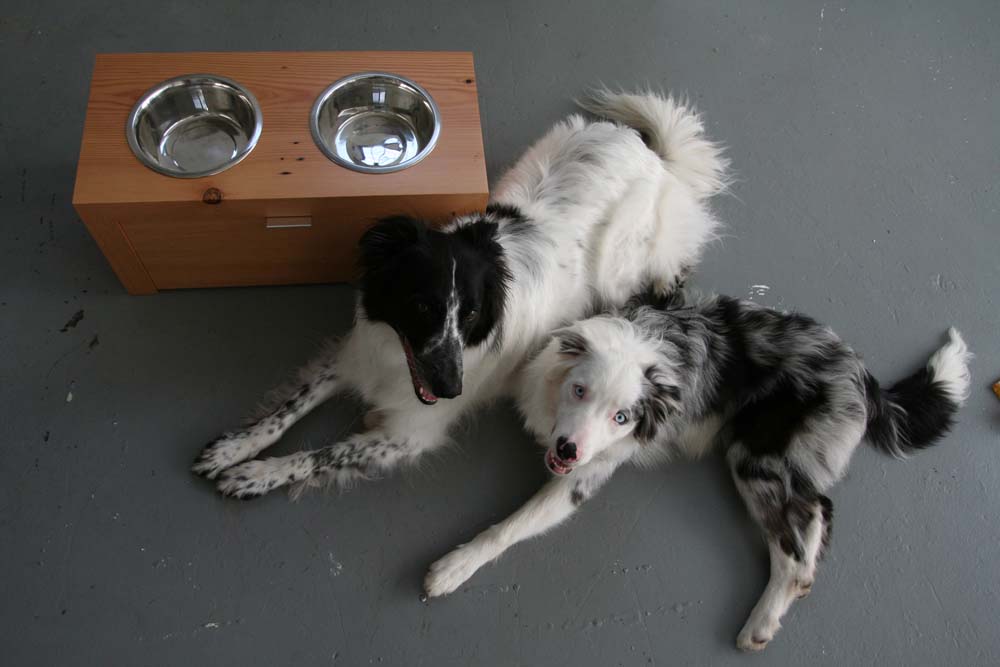 If It's Hip, It's Here (Archives) Modern Custom Handcrafted Wood Dog