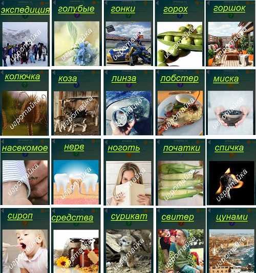 ответы на 12 уровне 600 слов приготовлен лобстер на тарелке ответы на 12 уровень