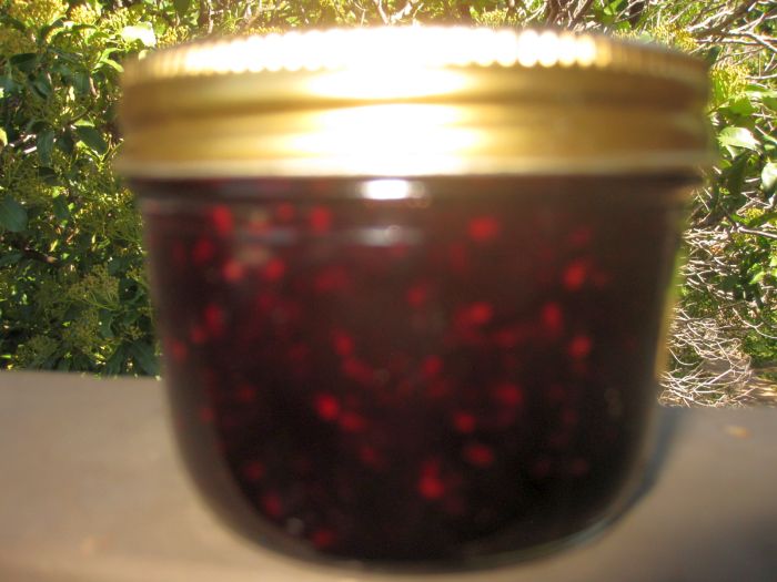 Durango Texas Linda Lou's Skagit Valley Jam Factory Blackberry Pepper