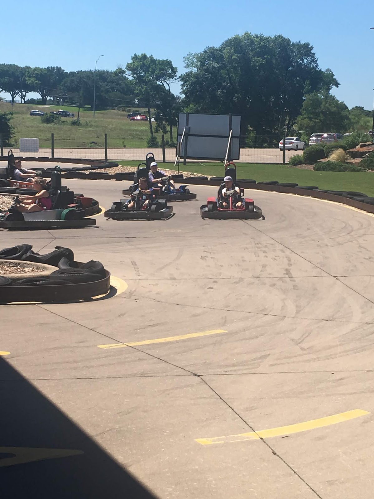 Chasing Roots Horseshoe Junction