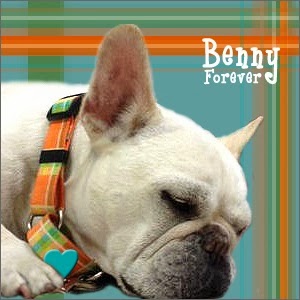 Benny - Forever