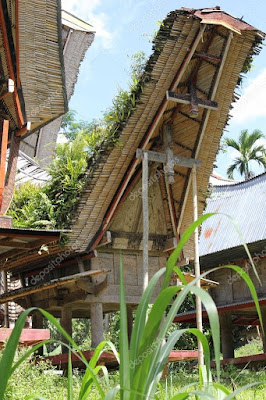 7 Facts You Should Know About Baby Graves in Toraja