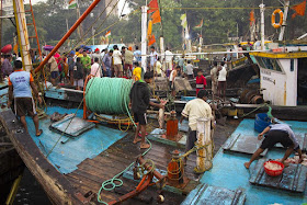 fish, fishing boat, fishermen, sassoon docks, mumbai, india, colourful, 