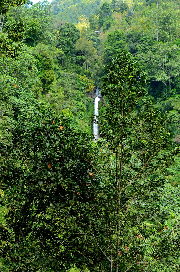 Gitgit waterfalls, Bali, Indonesia