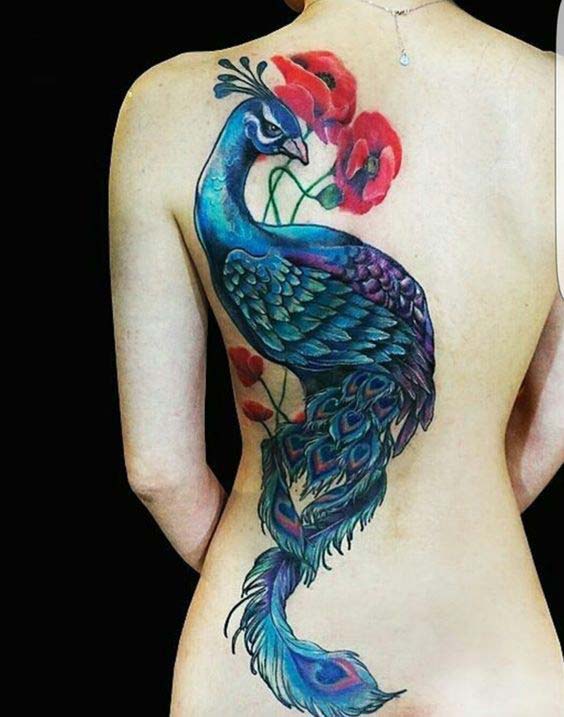 peacock tattoos designs