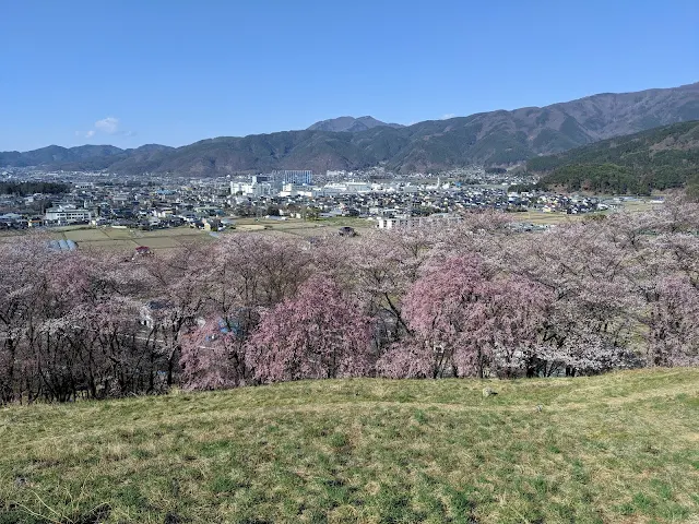 Things to do in Matsumoto in Spring: see cherry blossoms at Koboyama
