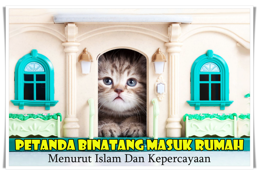 Rumah putih rama rama masuk Si Rama