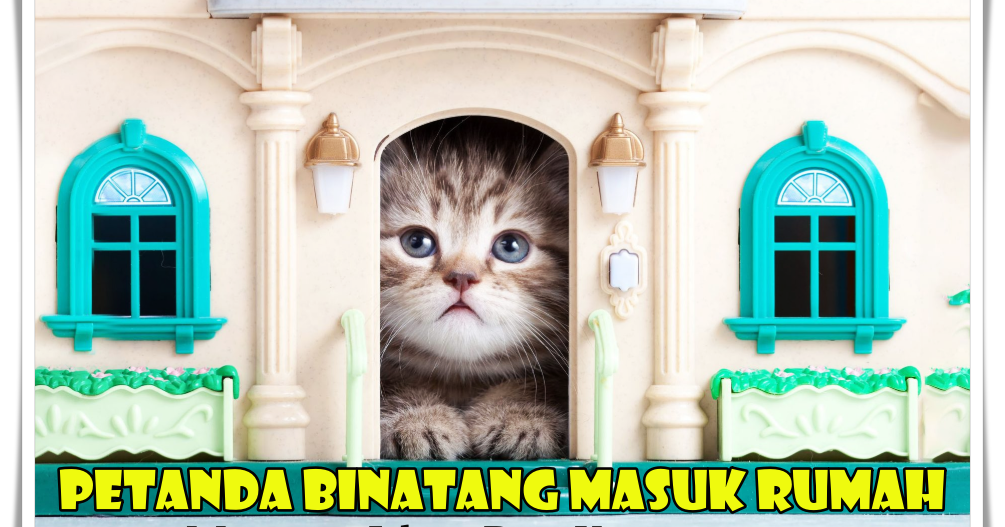 Petanda Binatang Masuk Rumah Menurut Islam Dan Kepercayaan Petanda Binatang Masuk Rumah Menurut Islam Dan Kepercayaan