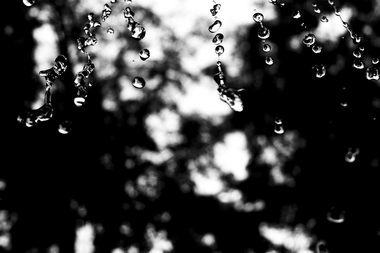 examples of microcosm examples of microcosm