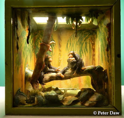 Chimps In The Jungle Picture Box By Bertha Wright