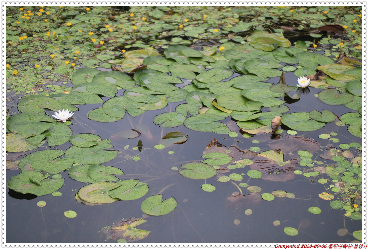 천축산 불영사 천축산 불영사