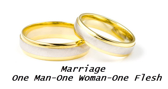 Is Fighting The Culture War Worth It Truth Inspires