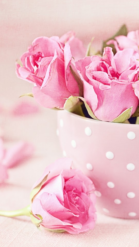 Pink Roses Cup Bouquet Android Wallpaper
