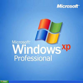 Windows: Bay, Storm and Replacement Windows - Lowes